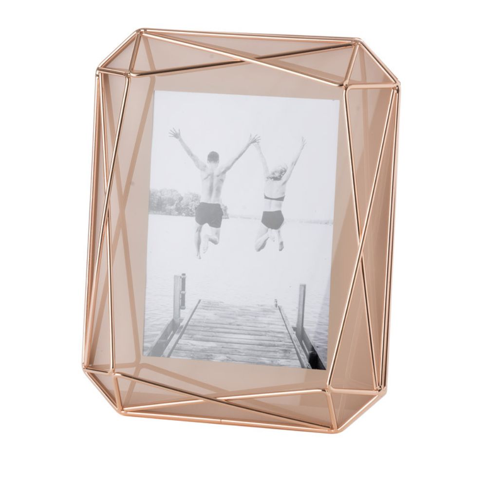 L'oca nera - cornice portafoto rettangolare vetro e metallo cipria 20.5cm × 25.5cm