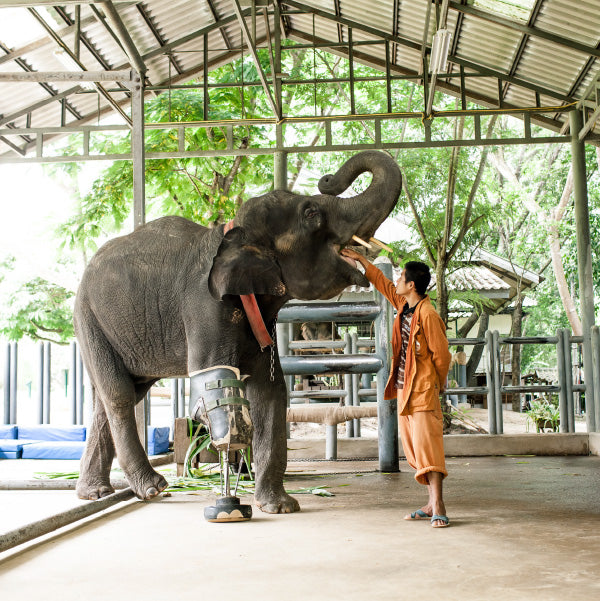 Elephant parade - statua elefante disco verde 15cm