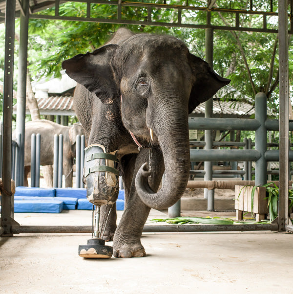 Elephant parade - statua elefante peace, love and music 15cm
