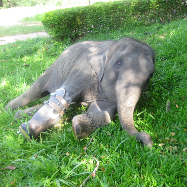 Elephant parade - statua elefante rambling rose 10cm