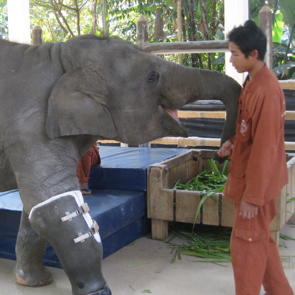 Elephant parade - statua elefante tree of life 10cm