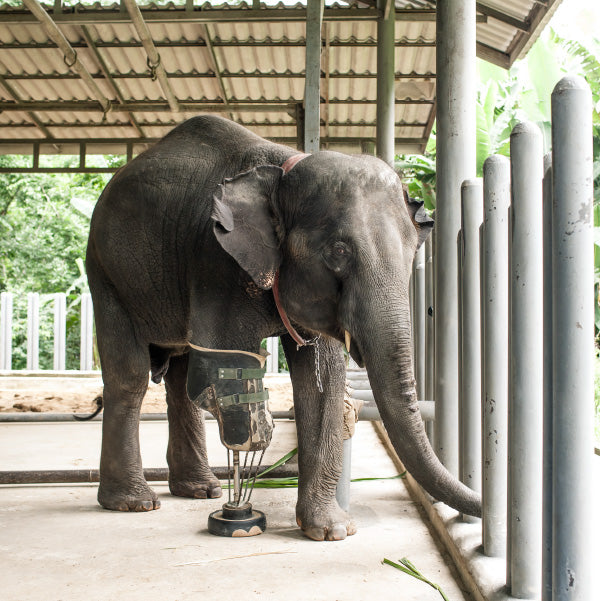 Elephant parade - statua elefante pop art 15cm