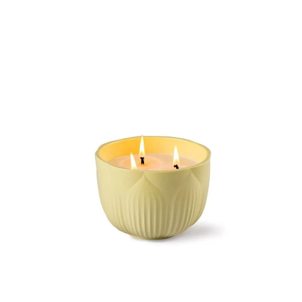 Lladrò - candela profumata giardini di valencia vaniglia, miele e frutti rossi 630g